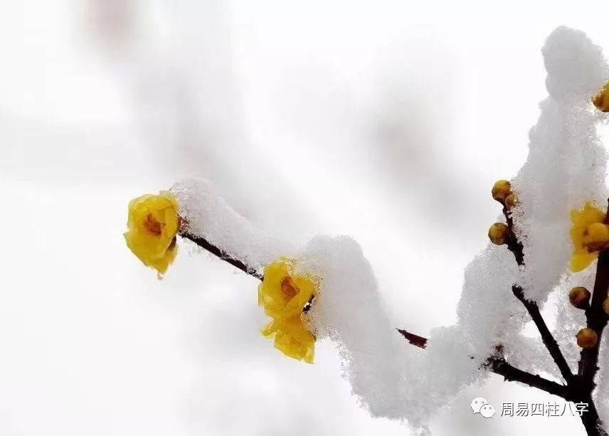 乙酉大运会发生什么_甲申乙酉泉中水命理解析_乙酉大运解析