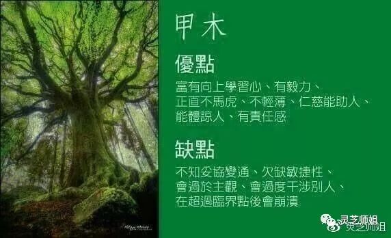 论甲寅乙卯大溪水是什么意思_冲虎甲寅煞南中的甲寅是什么意思_甲寅运是什么意思