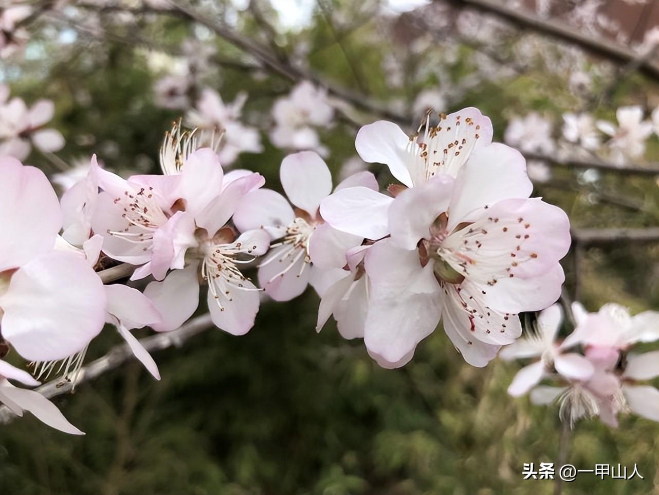 坐卯向酉阳宅风水如何_日坐酉金_坐酉向卯风水好吗