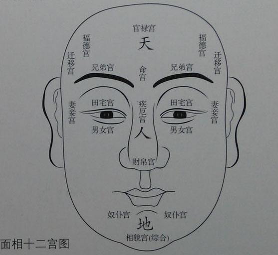 面相与八字_眉间八字纹面相男人_霍中曦面相八字解析