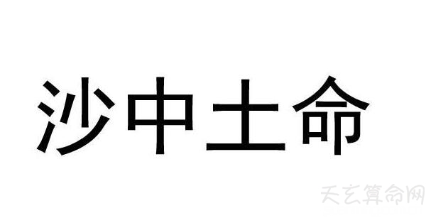 生沙中土命1977_生辰八字土命和土命_1977年属蛇的人是什么命