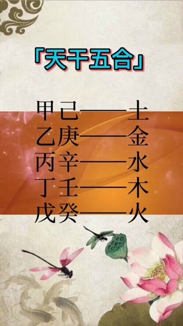 辛多雷金杖 水之td 怎么合_辛金 亥水_丙火亥水己混壬水