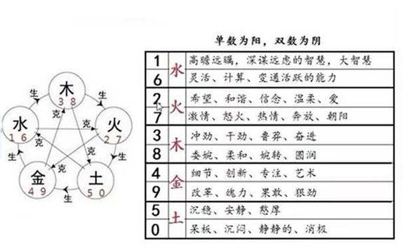 石榴木命的吉祥数字_松柏木命和石榴木命_1981年属鸡石榴木命幸运数字