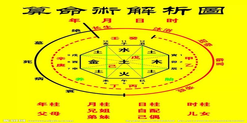 乙木的哪个财库最好_乙木以什么为财库_乙木有四个财库