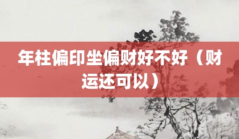 年柱偏印坐偏财好不好（财运还可以）