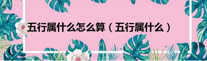 1987年五行属什么五行_丙寅五行属什么_1981年属鸡的五行属什么