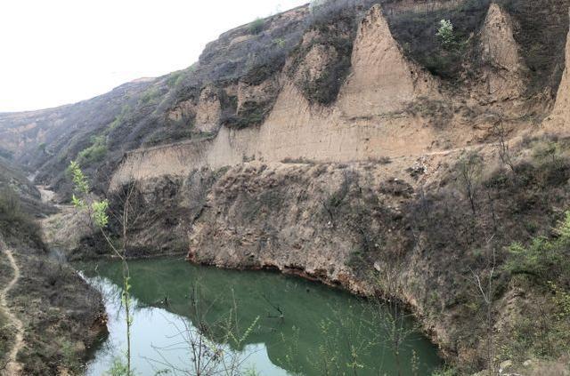 辰土是燥土还是湿土_树林里的土是腐殖质土吗_未土是什么库