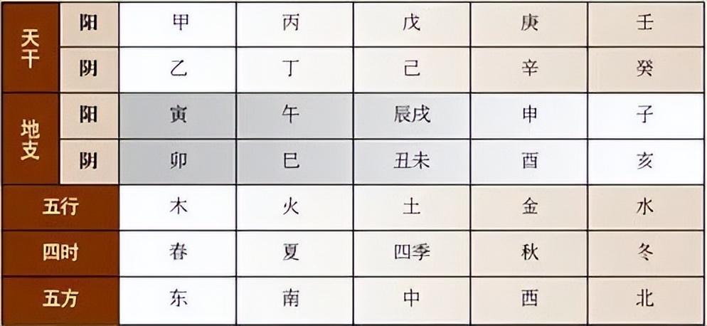 12地支五行属性对照表图片