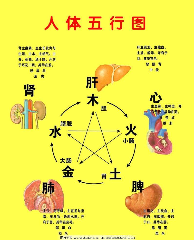 乙木坐巳火有根吗_巳火对乙木的作用_八字乙木见巳火