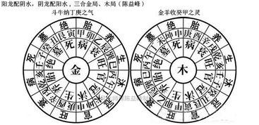 辰土是阴土还是阳土