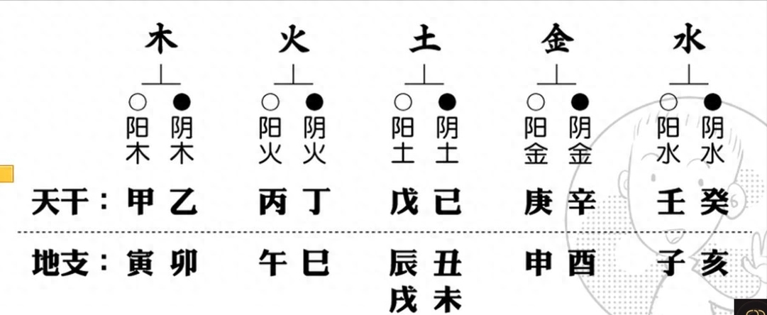 快速计算哪年的天干地支_如何快速计算天干地支年_天干地支年怎么算