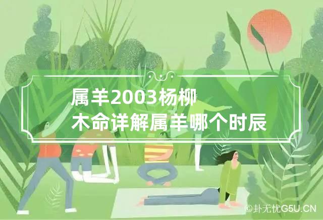 属羊2003杨柳木命详解 属羊哪个时辰出生大富大贵