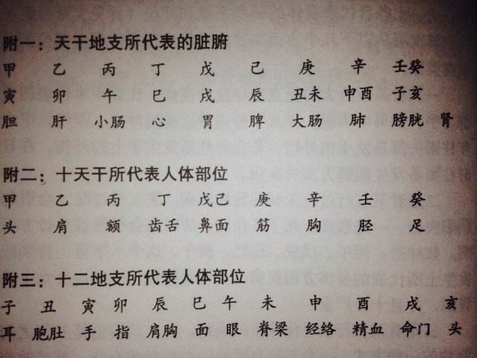 寅代表什么木_寅木属什么木_寅木代表的数字