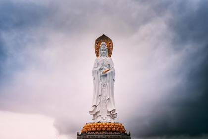 辛卯年松柏木_辛卯年松柏木_辛卯年松柏木