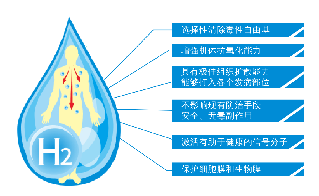 富氢水抔_氢注富氢水_氢爽富氢水