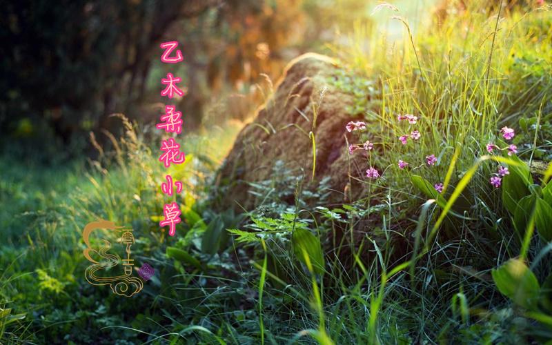 日主乙木男_乙木男主动帮助女朋友_乙木男主动帮助女人说明什么