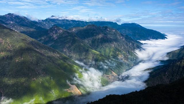 巳属火吗_巳属火还是属土_巳属火