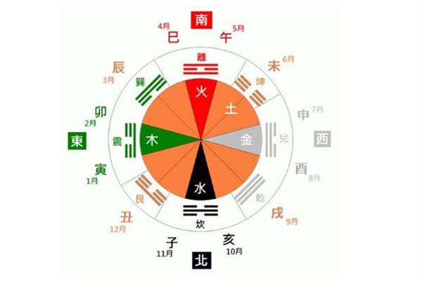 八字有寅木代表什么_八字寅木_八字地支带寅木的人