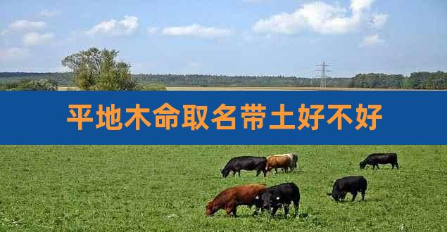 平地木命取名带土好不好