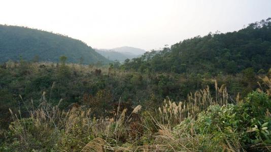 家居风水酉山卯向兼辛_卯戌合遇卯酉冲_酉山卯吉凶详解